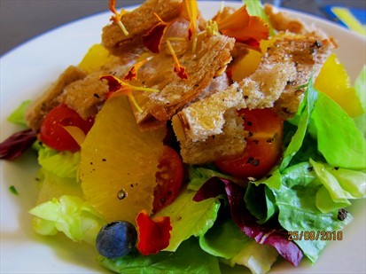 Eden sanctuary salad